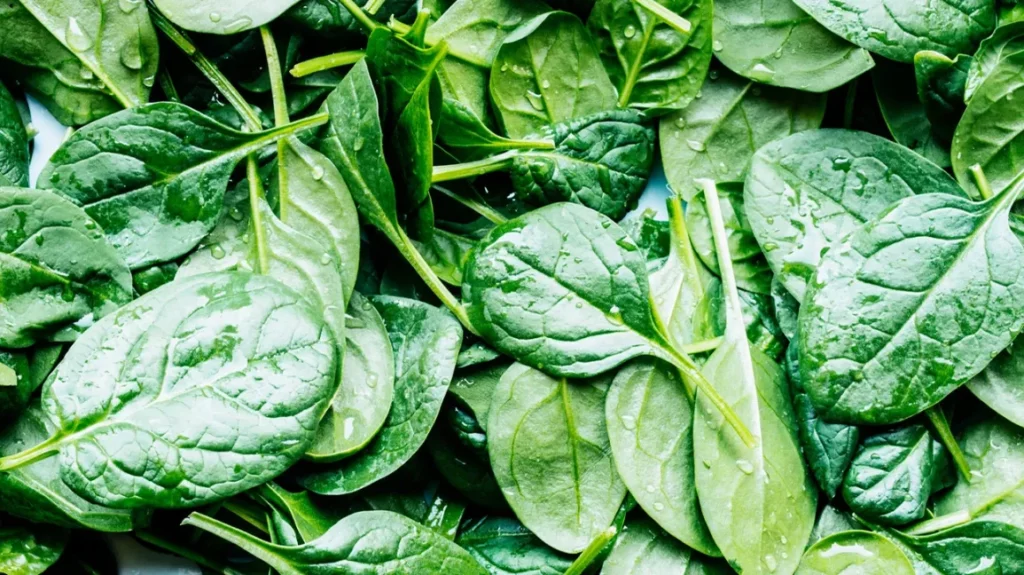 Spinach 1296x728 header