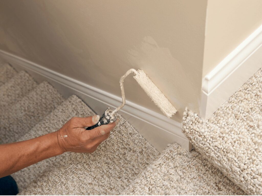 Touch Up Paint And Wall Scuffs