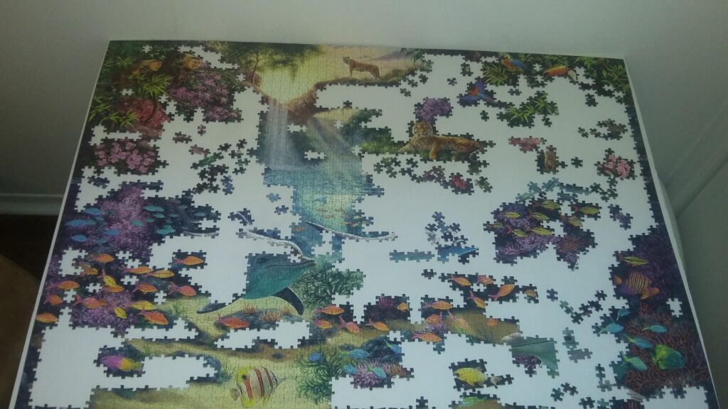 Unfinished Puzzle