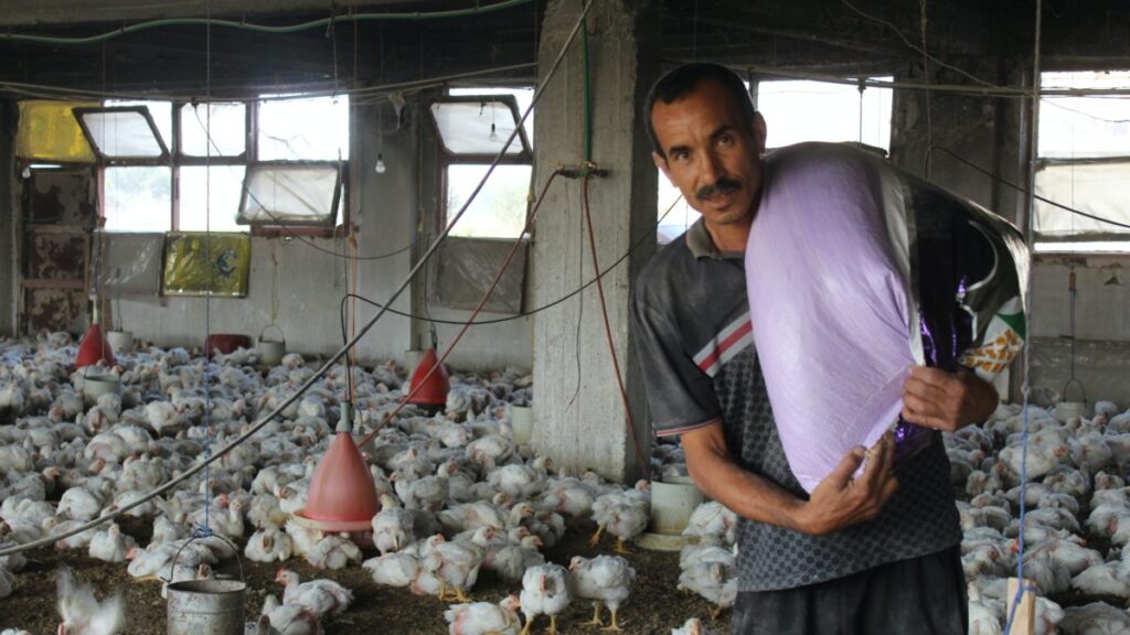 Upper Egypt (villages)