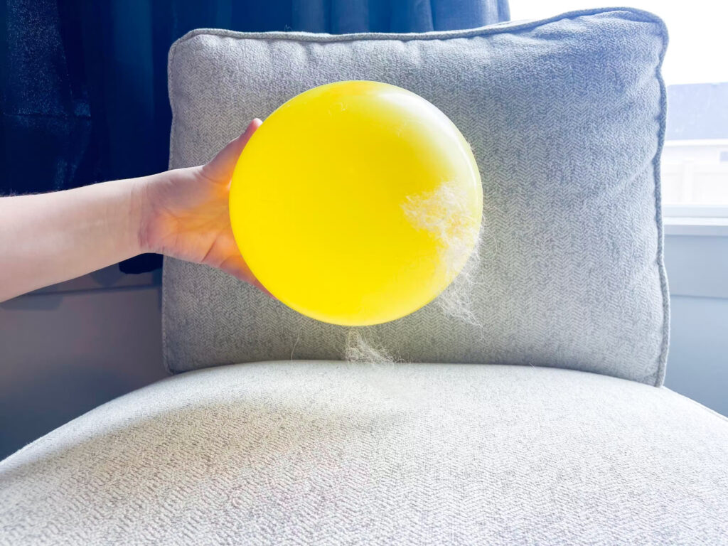 Using A Balloon To Remove Pet Hair (1)