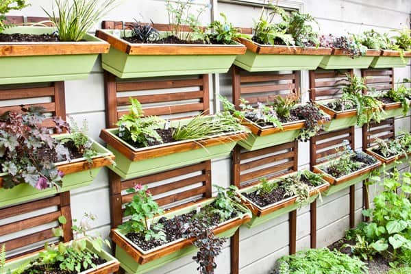 3. Vertical Planting Walls