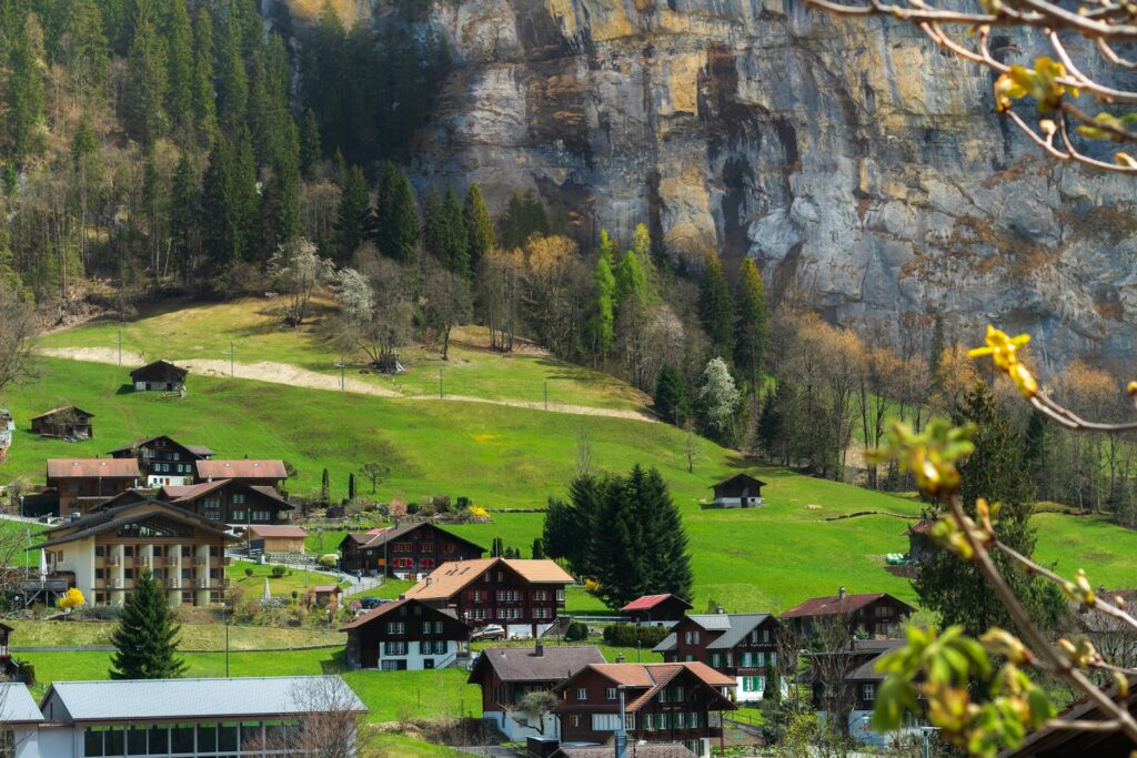 brown houses on green field