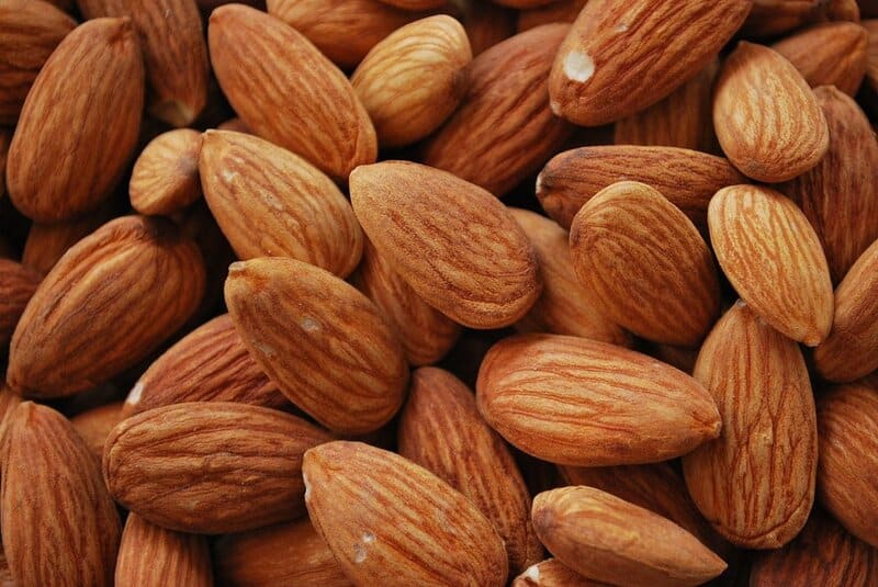 Nuts and Seeds: Protein Powerhouses
