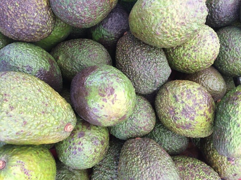 10. Avocado