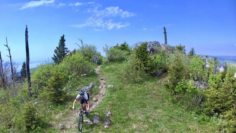 7. Reduce Your Carbon Footprint