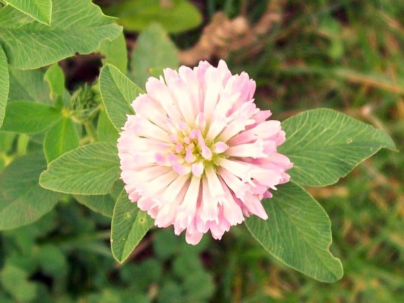 3907943014 cb8455bb2a b