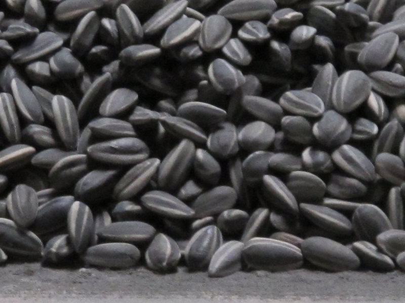 16. Sunflower Seeds