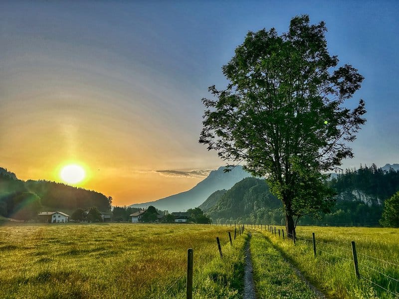 17. Reduced Exposure to Natural Light