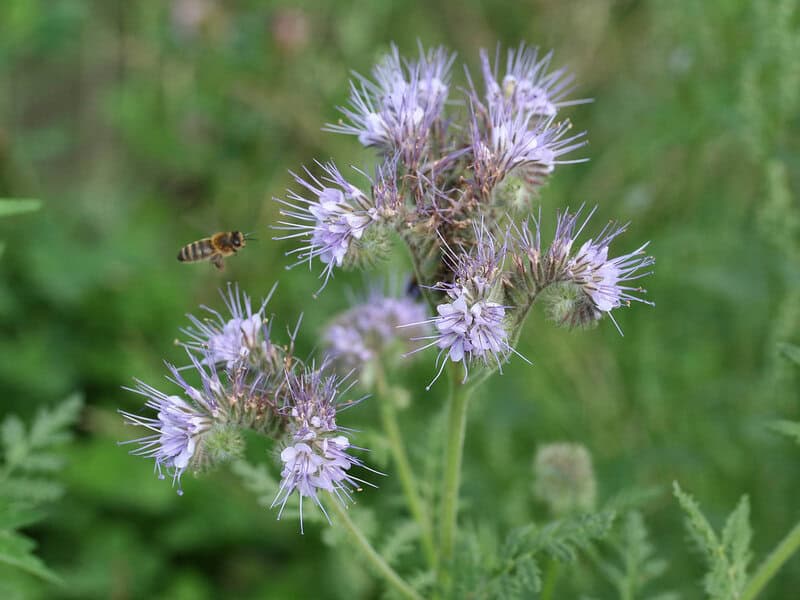 9024916434 118eaffdf1 b