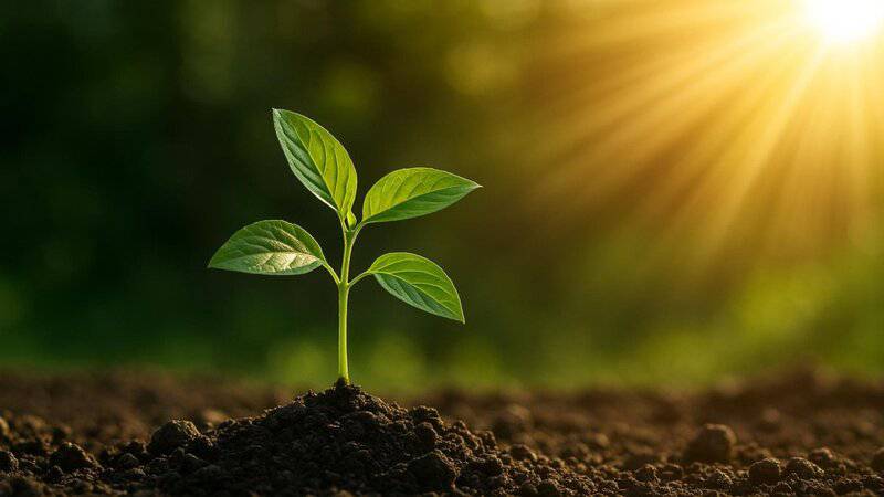 2. Definition: Real Optimism