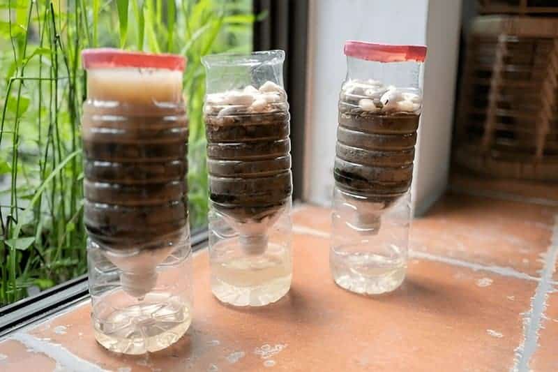 5. Making a DIY Water Filter