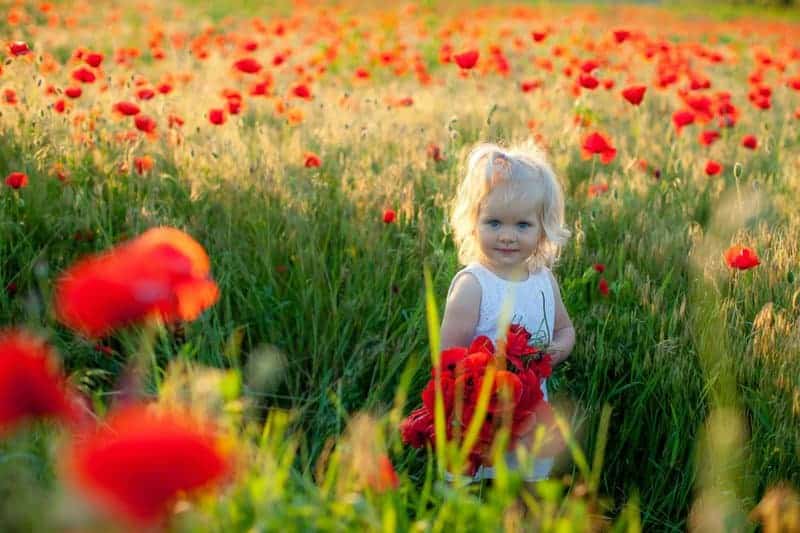 20 Edible Flowers That Are Fun and Safe to Grow with Kids