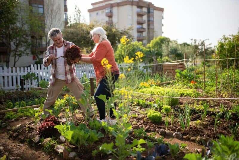 6. Community Gardens