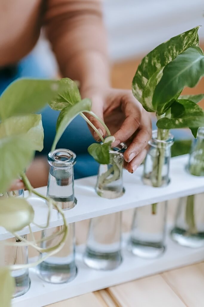 Download 2025 06 10t154436.234 (1)