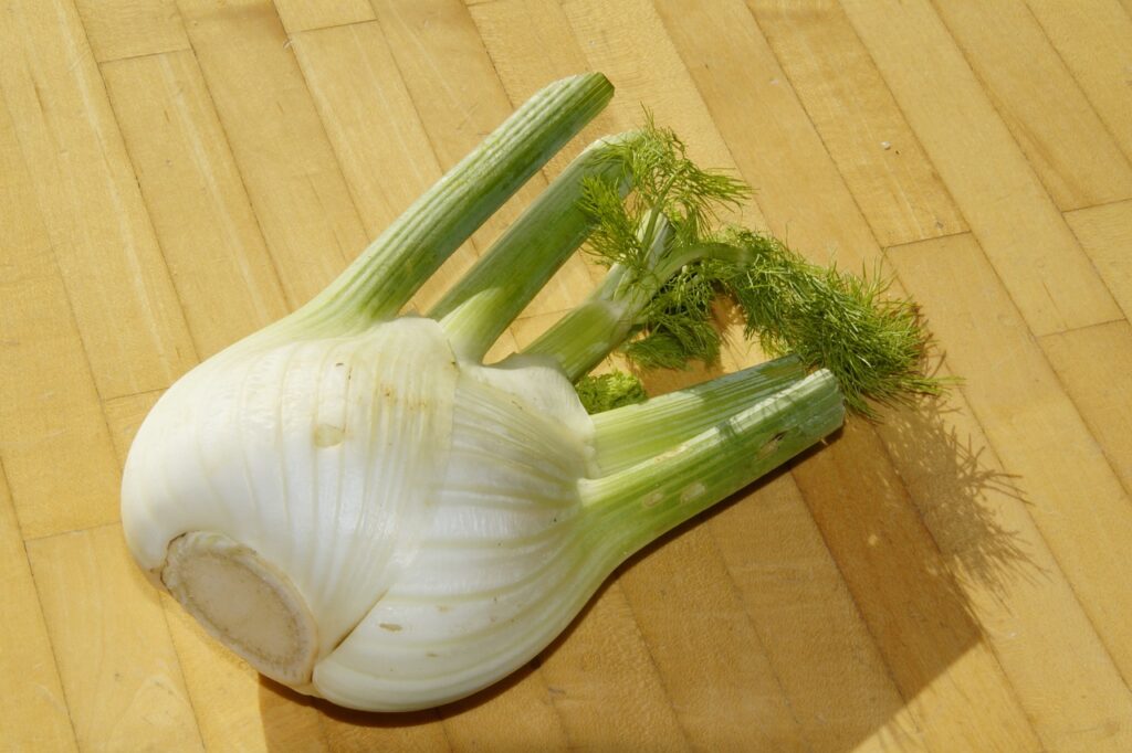 Fennel 214680 1280