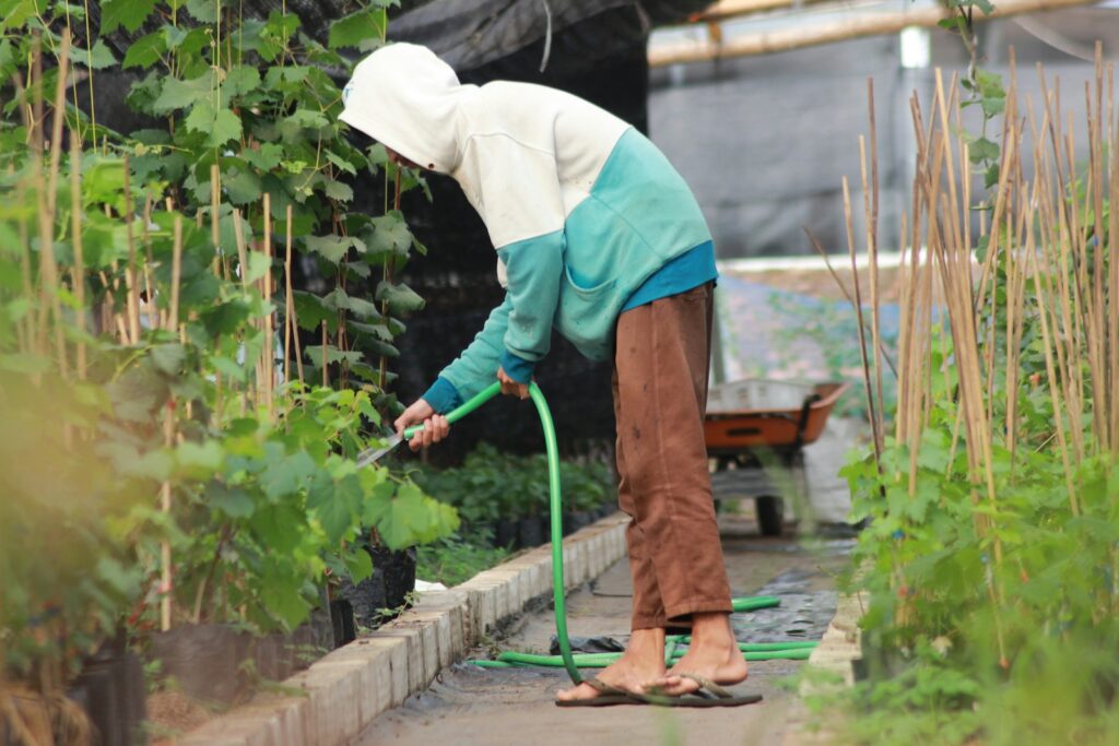A woman is watering plants in a garden