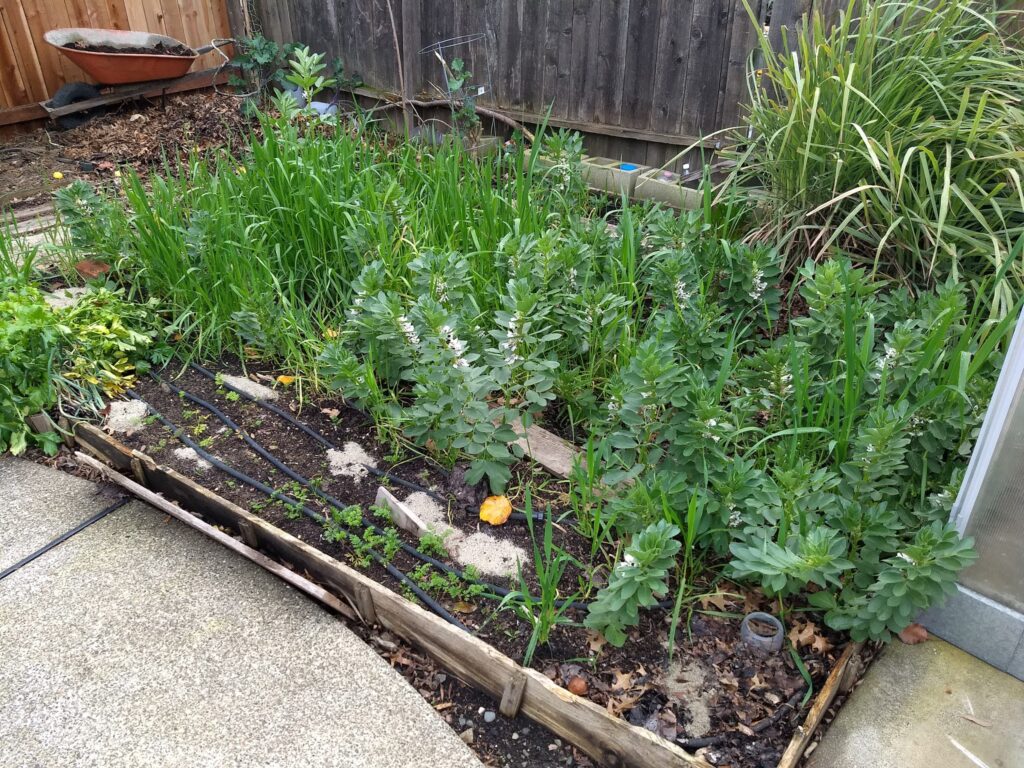 Img 20200108 161451907