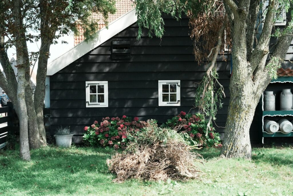 a black house with white windows and a tree in front of it