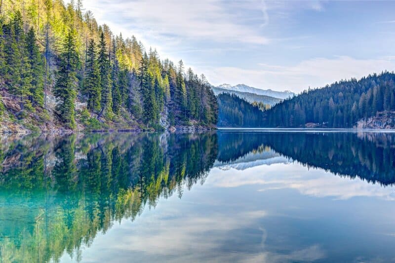 9. The Forest Sauna Retreat