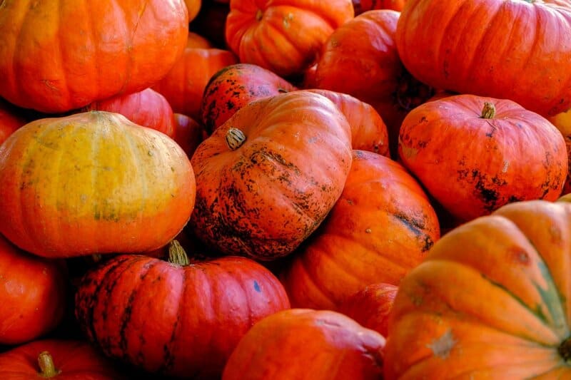 5. Pumpkin and Squash in Autumn