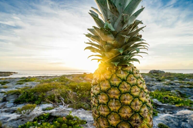 20. Boosting Food Sovereignty in Coastal Regions
