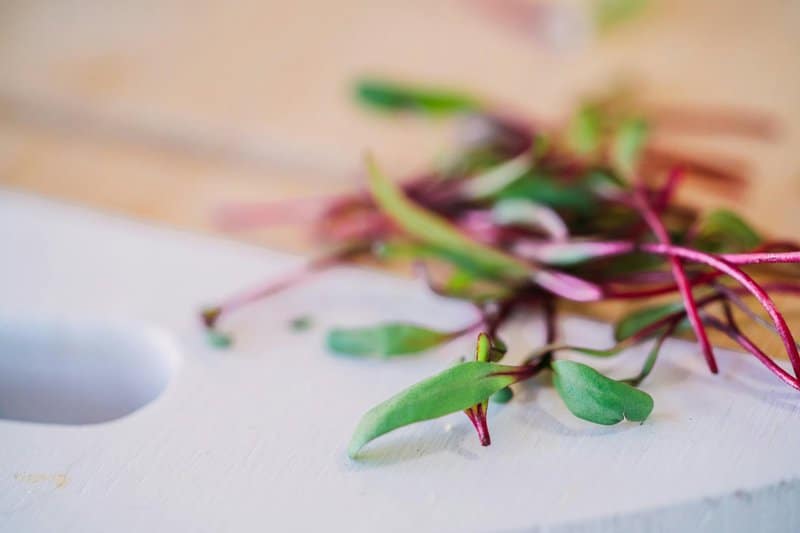 12. Light Salads in Spring