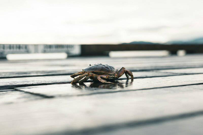 27. Auburndale (Polk County)