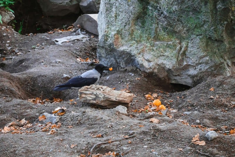 6. Food Security and Resilience