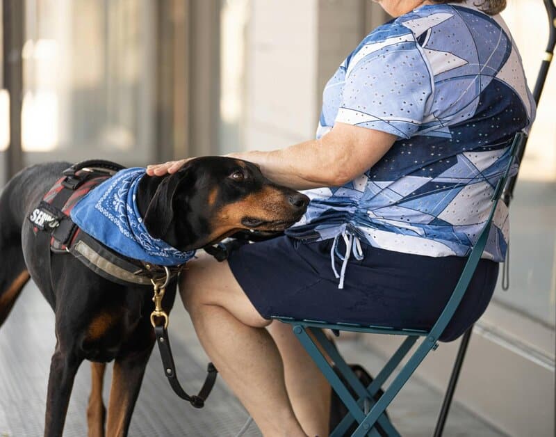 8. Animal-Assisted Therapy