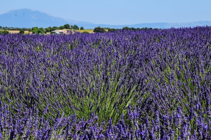 10. Provence, France