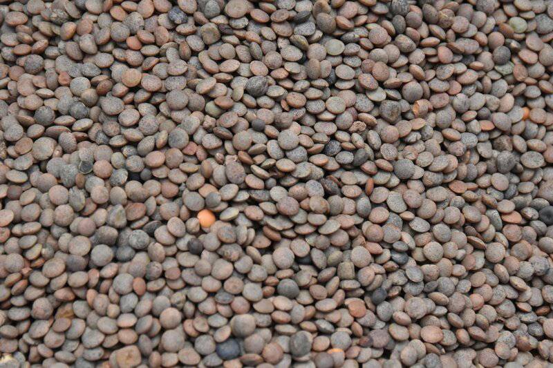 16. Beans & Lentils &mdash; Steady Energy