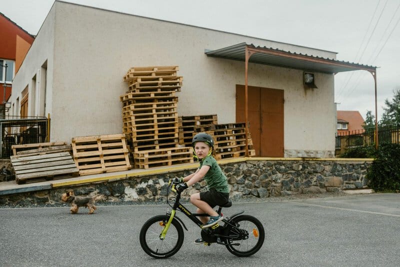 12. Play Actively with Pets or Kids