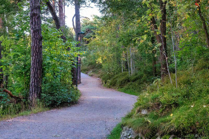 3. Reduced Anxiety Levels