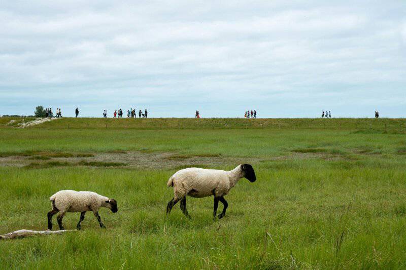 12. Greater Appreciation for Nature