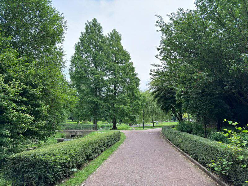 3. Get Outdoors for a Walk