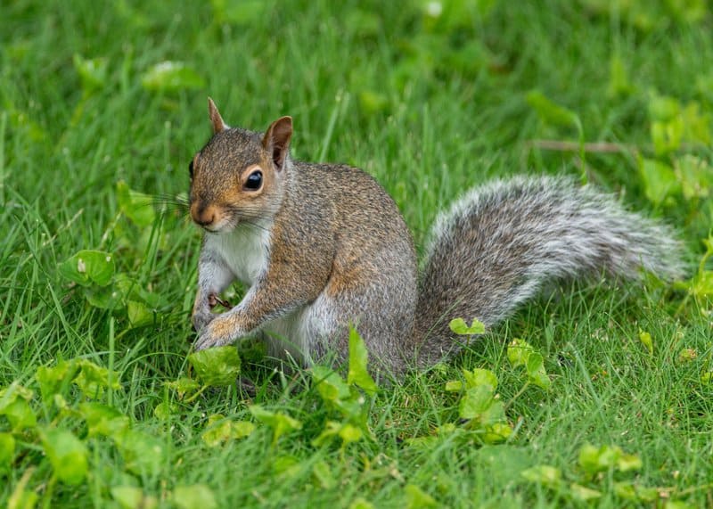 7. Spend Time in Nature