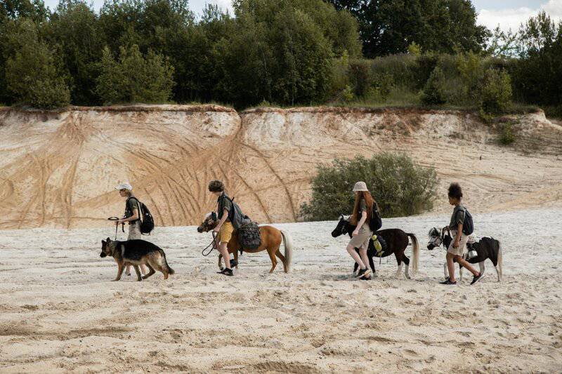 18. Animal-Assisted Nature Therapy