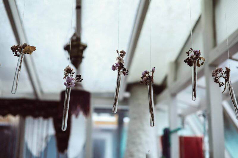 6. Dried Flowers