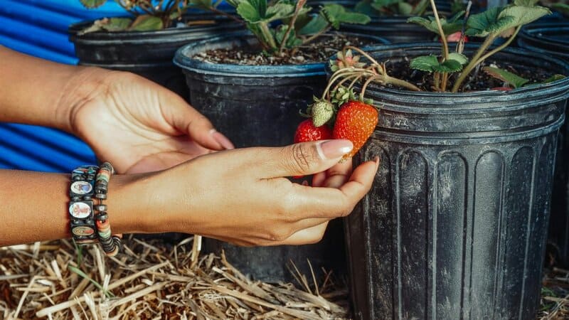 10. Ignoring Seasonal Changes