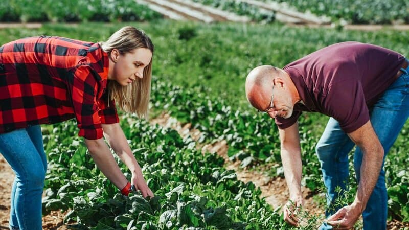 14. Reducing Food Waste with Fast-Growing Greens