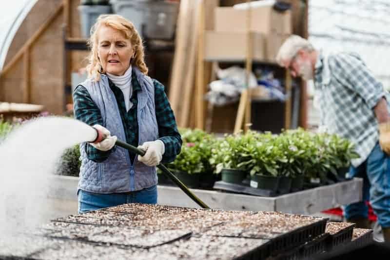 12. Practice Proper Watering Techniques