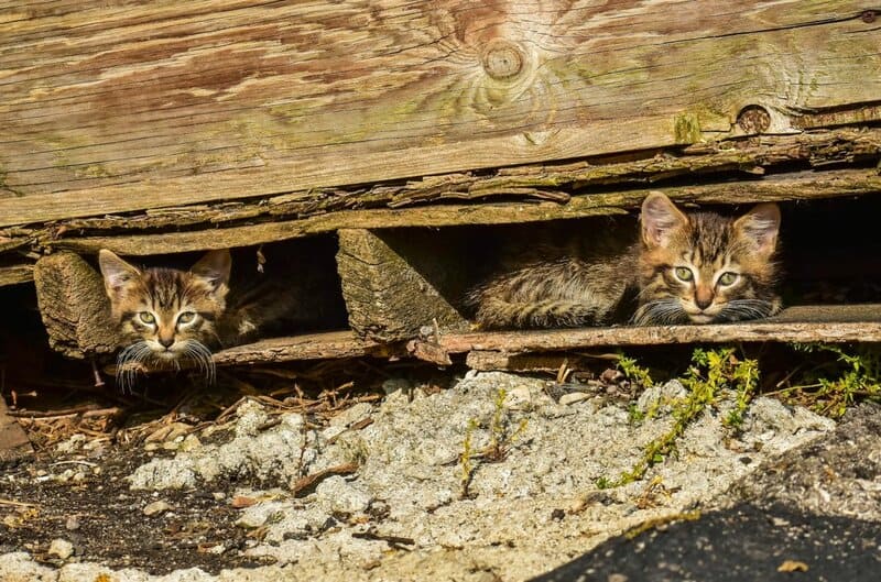 7. Providing a Safe Environment