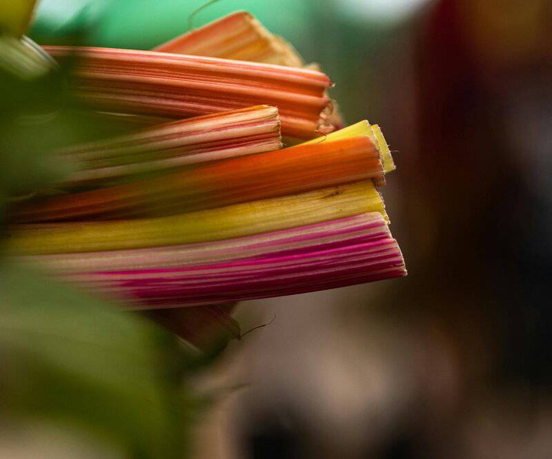 18. Dark Leafy Greens &mdash; Magnesium Magic