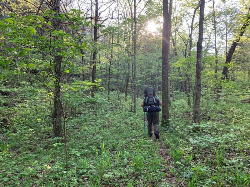 24. Breaking Out of My Comfort Zone