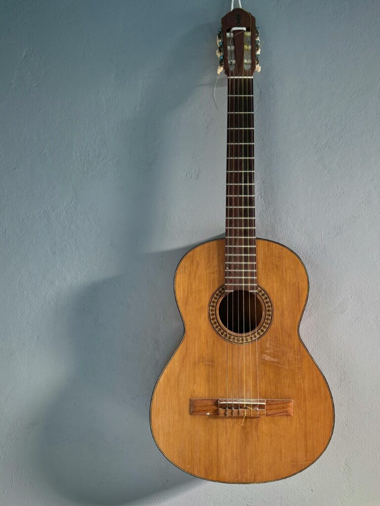 Vintage guitar