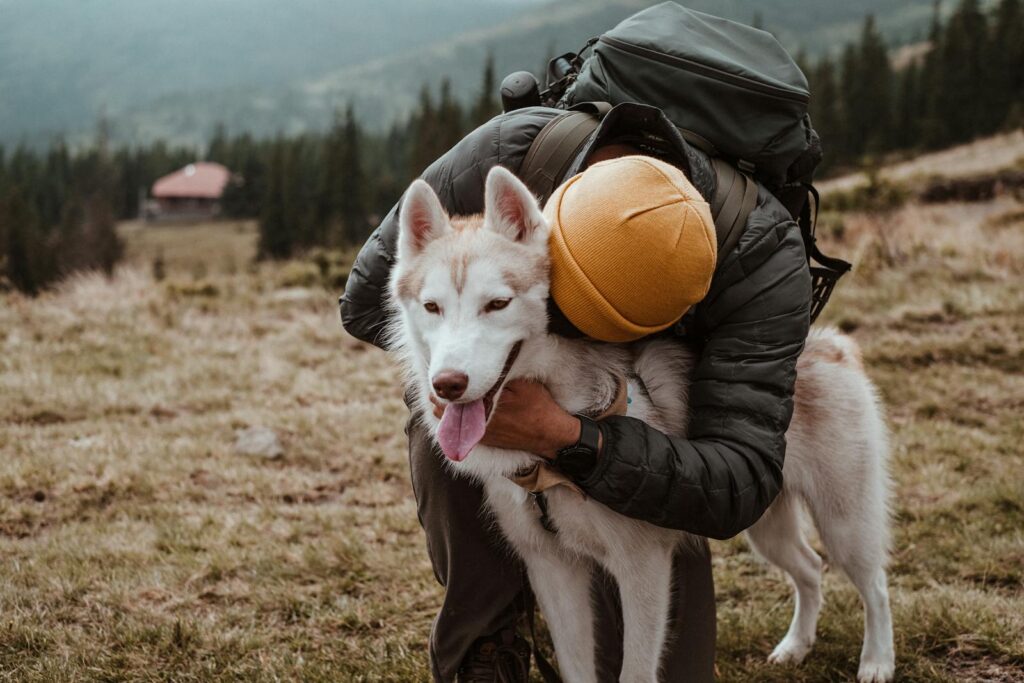 A man embraces his Siberian Husky in the scenic mountains of Holda, Romania.
