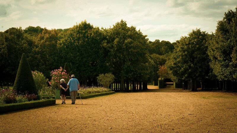 4. Practice Mindful Walking or Driving