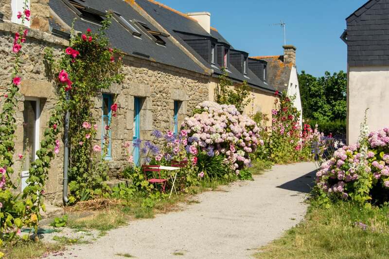 5. First House-Sit: Lessons Learned