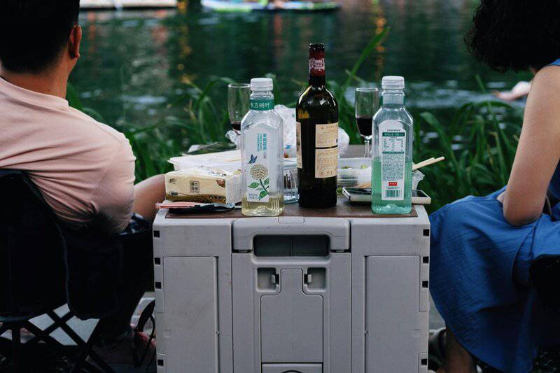 11. Intentional Social Life